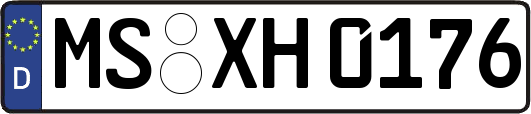 MS-XH0176