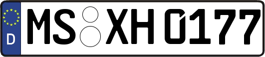 MS-XH0177