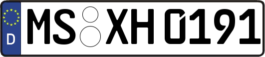 MS-XH0191