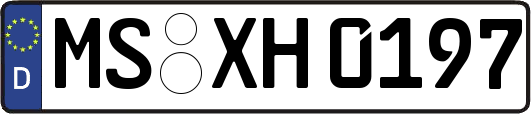 MS-XH0197