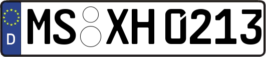 MS-XH0213