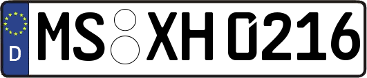 MS-XH0216