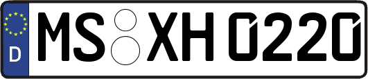 MS-XH0220
