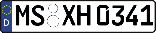 MS-XH0341