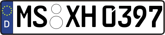 MS-XH0397