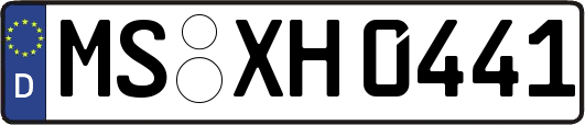 MS-XH0441