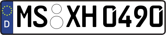 MS-XH0490