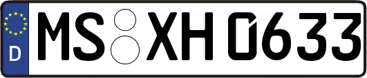 MS-XH0633