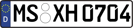 MS-XH0704