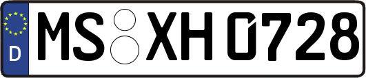 MS-XH0728
