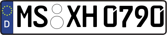 MS-XH0790