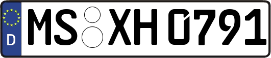 MS-XH0791