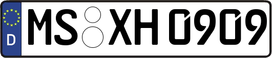 MS-XH0909