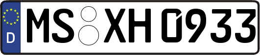MS-XH0933