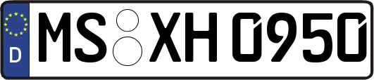 MS-XH0950