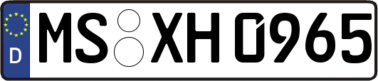 MS-XH0965
