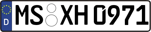 MS-XH0971