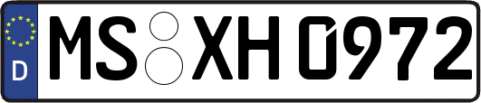 MS-XH0972
