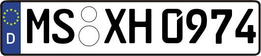 MS-XH0974