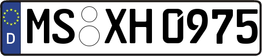 MS-XH0975