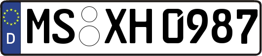 MS-XH0987