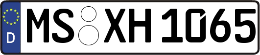 MS-XH1065