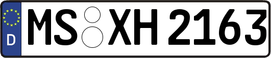 MS-XH2163