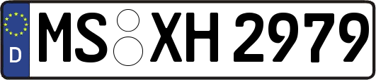 MS-XH2979