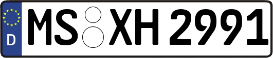 MS-XH2991