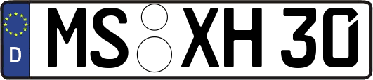 MS-XH30