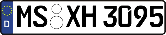 MS-XH3095