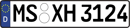 MS-XH3124