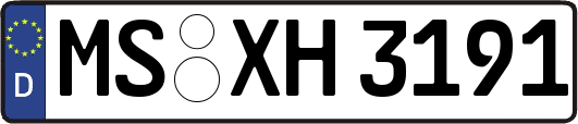 MS-XH3191