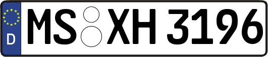MS-XH3196