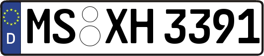 MS-XH3391