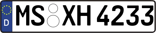 MS-XH4233