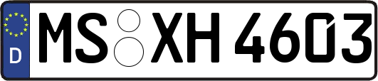 MS-XH4603