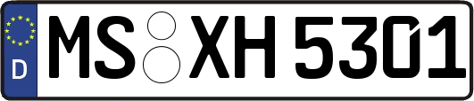 MS-XH5301