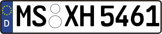MS-XH5461