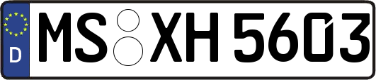 MS-XH5603