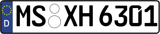 MS-XH6301
