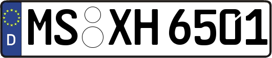 MS-XH6501