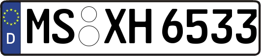 MS-XH6533