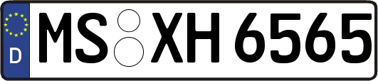 MS-XH6565