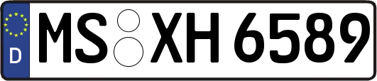 MS-XH6589