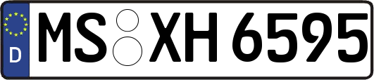 MS-XH6595