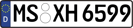MS-XH6599