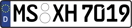 MS-XH7019