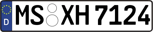 MS-XH7124