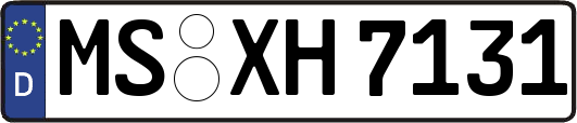 MS-XH7131